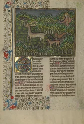 Livre de la chasse